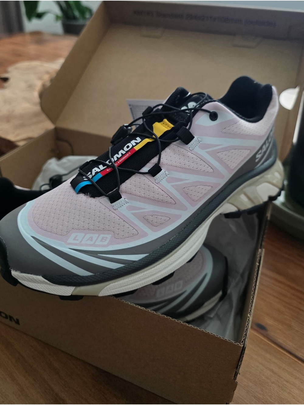 Salomon XT6